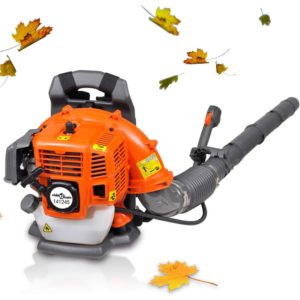 Pourquoi aspirer ou souffler les feuilles de son jardin ?