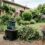 Branches après élagage : broyer, composter ou évacuer ?